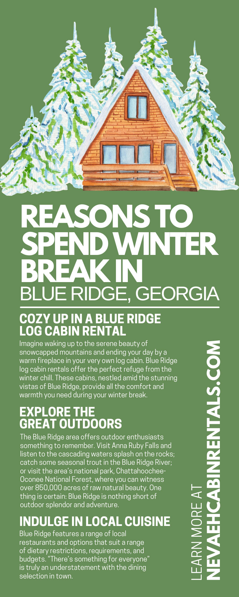8 Reasons To Spend Winter Break in Blue Ridge, Georgia
