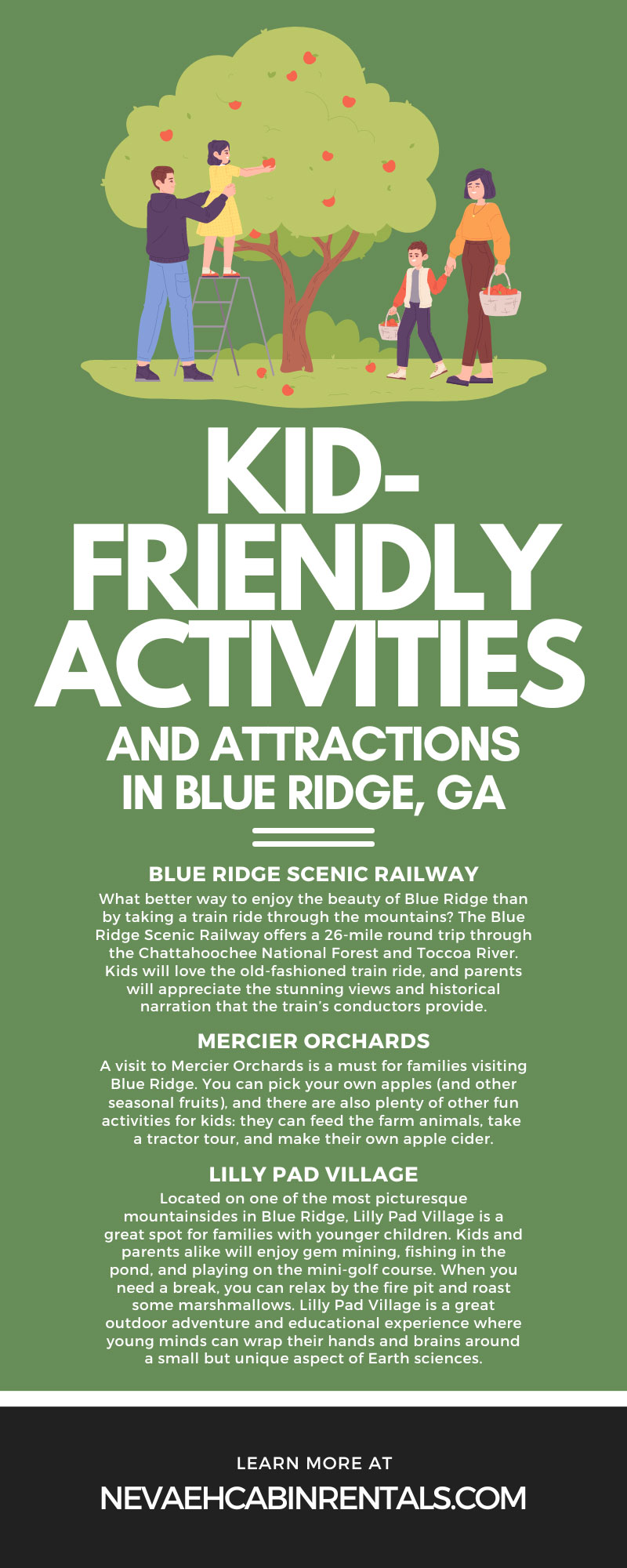 Kid-Friendly Activities and Attractions in Blue Ridge, GA