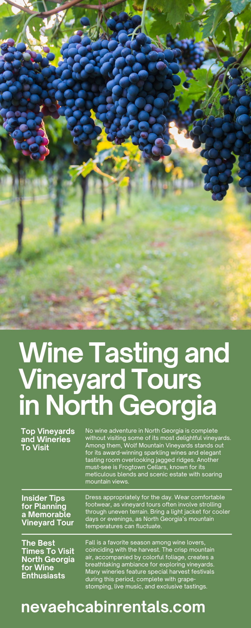 4 Wine Tasting and Vineyard Tours in North Georgia