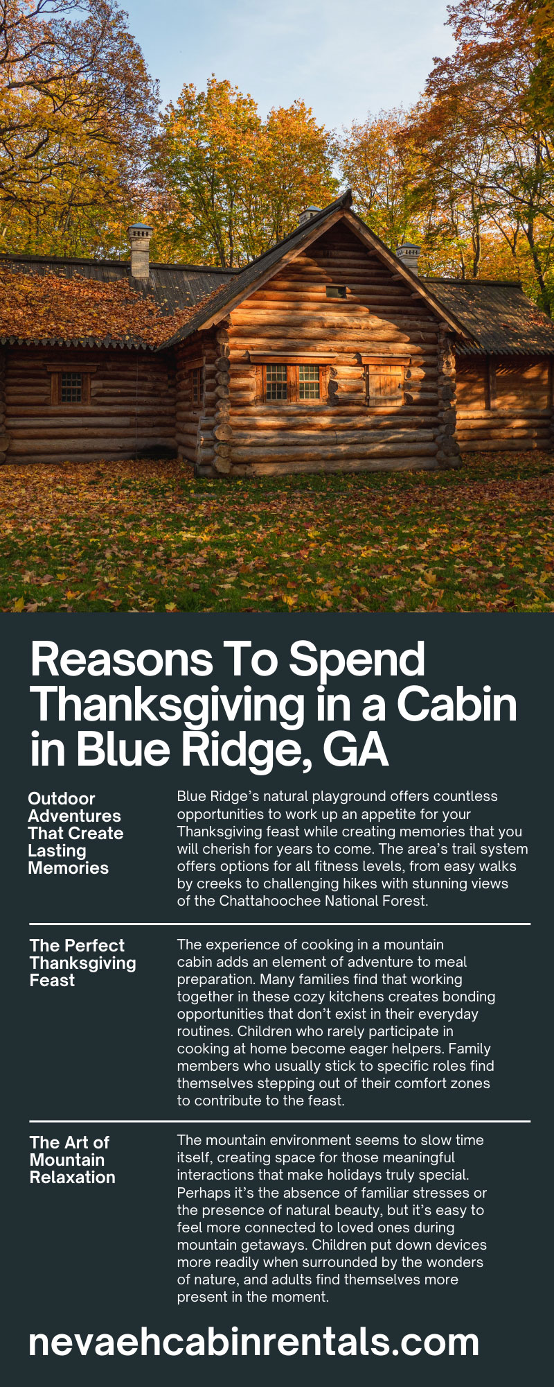 Reasons To Spend Thanksgiving in a Cabin in Blue Ridge, GA
