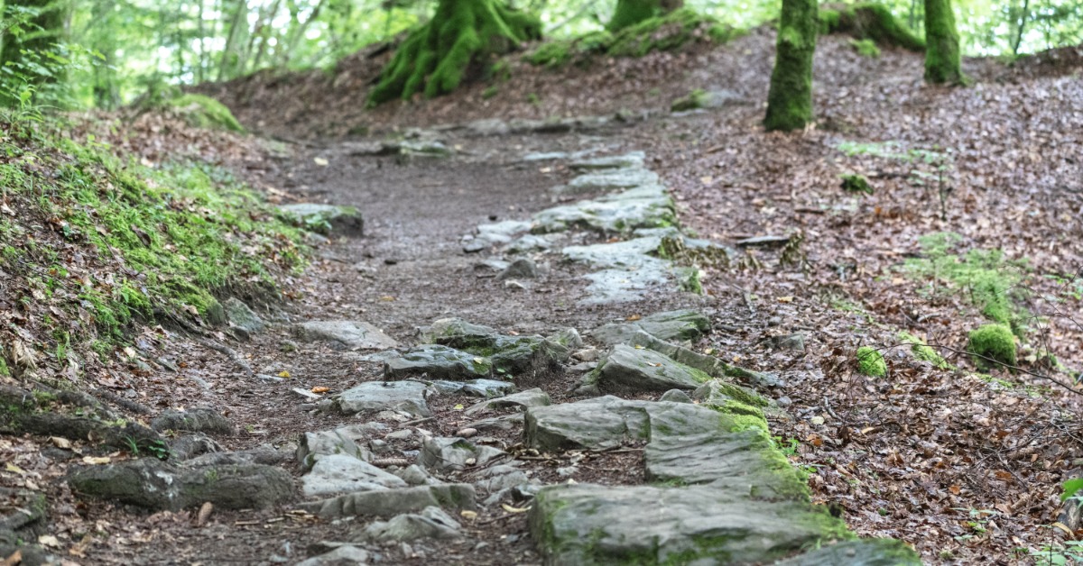 A rocky forest trail with uneven stones, damp soil, and moss-covered trees along a winding path through lush green woods.